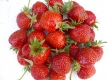 Erdbeeren