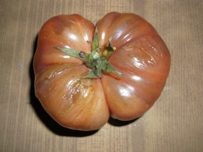Tomate Big Dark Samen
