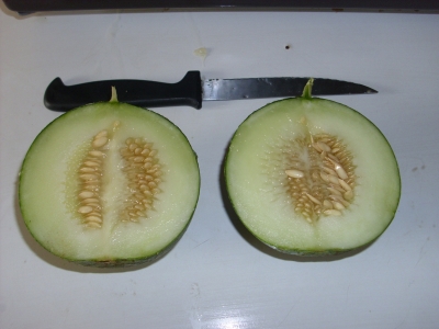Ananasmelone Samen