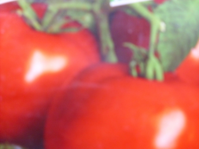 Tomate Hellfrucht Samen