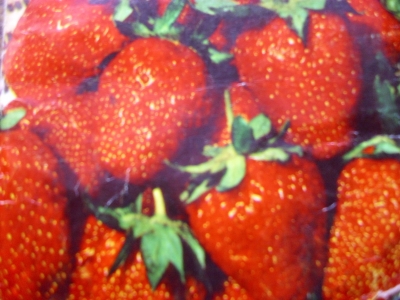 Monats-Erdbeeren-Rügen Samen