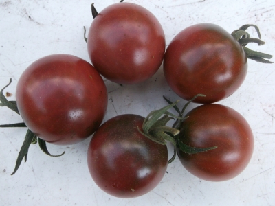 Tomate Black Zebra Cherry Samen