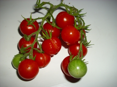 Tomate Süsse von der Krim Samen