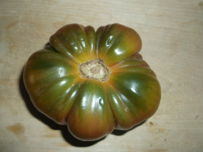 Tomate Black from Tula Samen