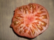 Tomate Gary´O Sena Samen