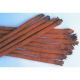 Japanische Speiseklette Chiko Arctium lappa var.sativa Samen