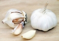 Knoblauch Allium sativum Pflanze