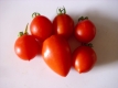 Tomate Himmelsstürmer Samen