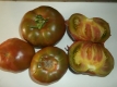 Tomate Black from Tula Samen