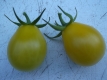 Tomate Yellow Submarine Samen